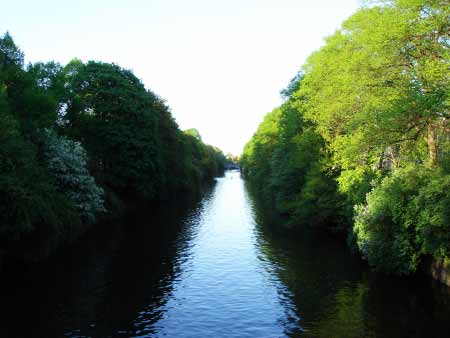 Grünes Hamburg